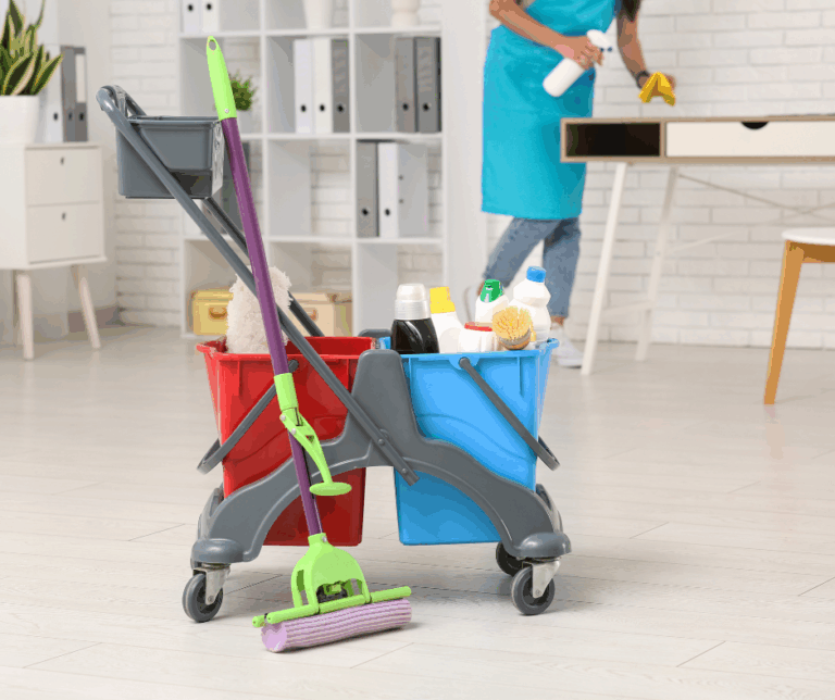 Neteja d´oficines a l´hivern a Figueres amb professionals d´Activitats i Serveis.